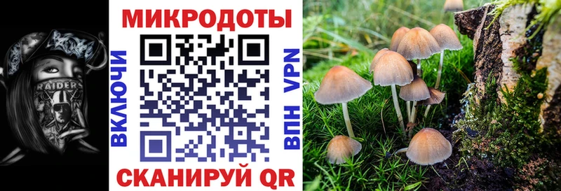 Галлюциногенные грибы прущие грибы  Купить закладки  Руза 
